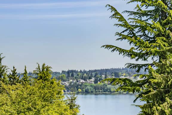 White Serenity by Water Near Seattle Bellevue Lake